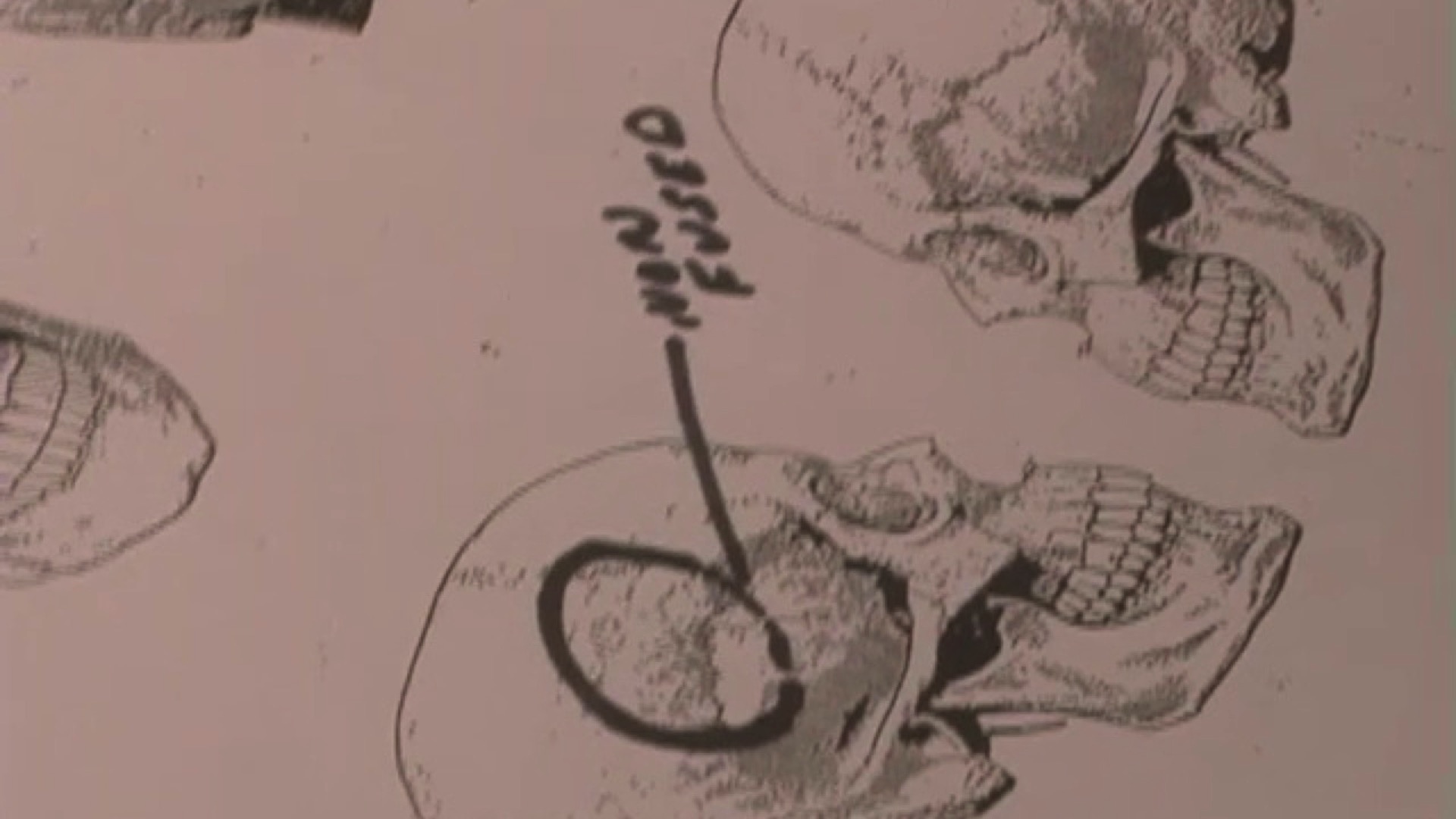 Dr. G: Medical Examiner