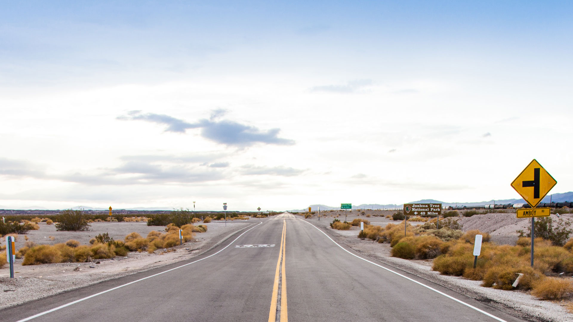 The Living Sea of Jeju