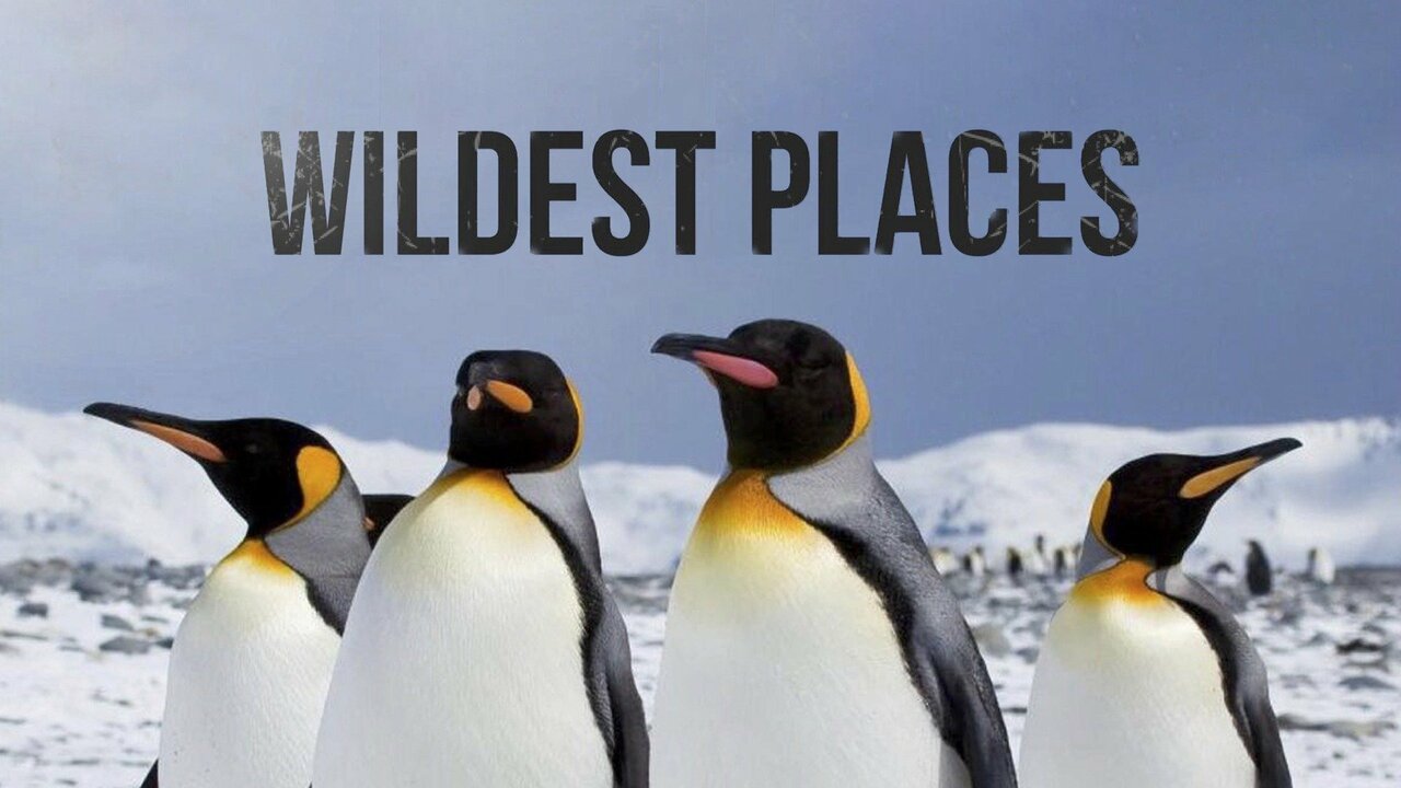 Wildest Places: Bays