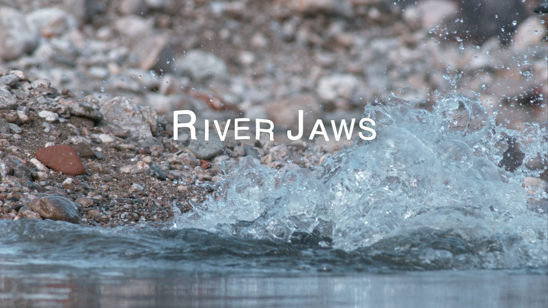 River Jaws