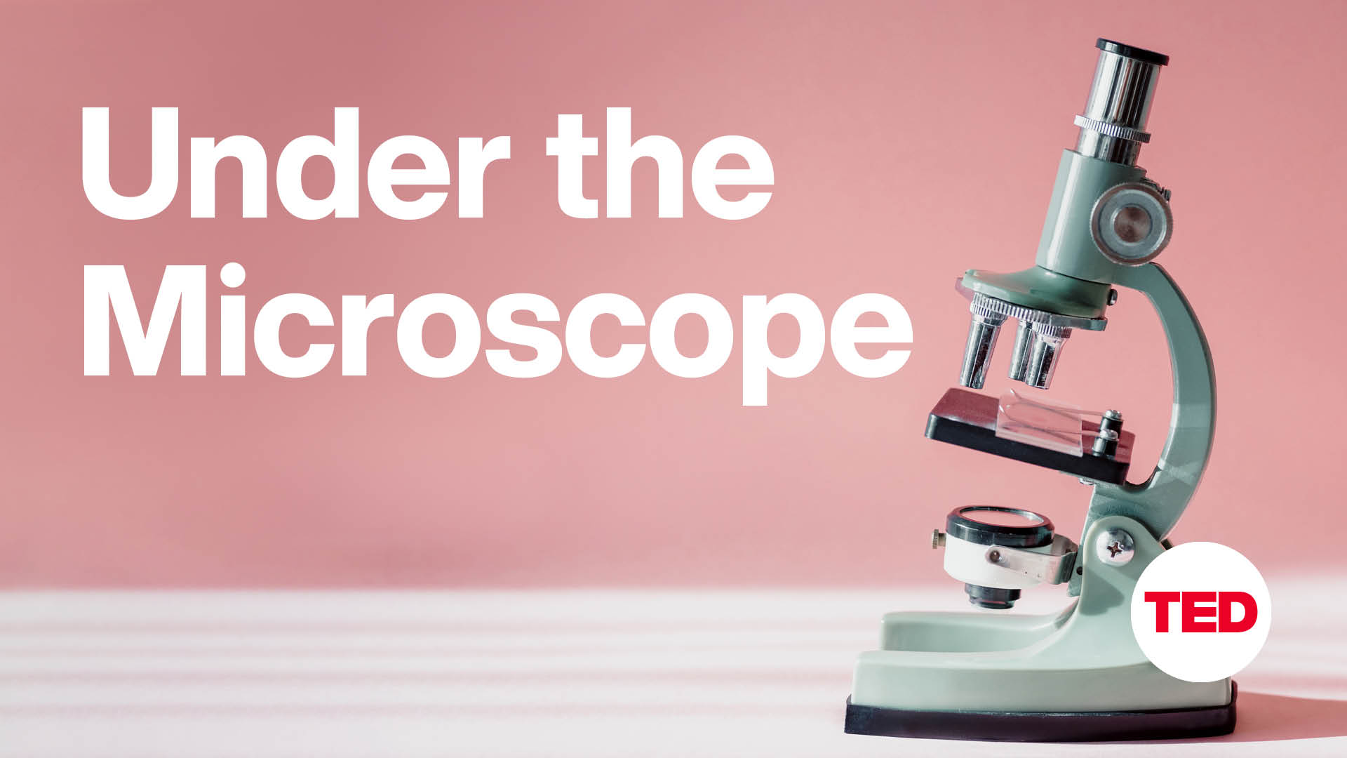 Under the Microscope EP06