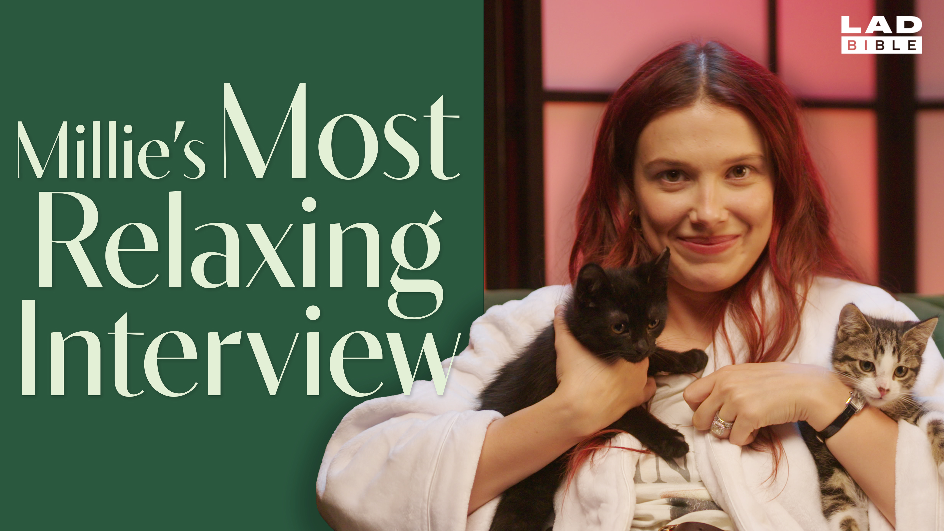 The Most Relaxing Interview Ever