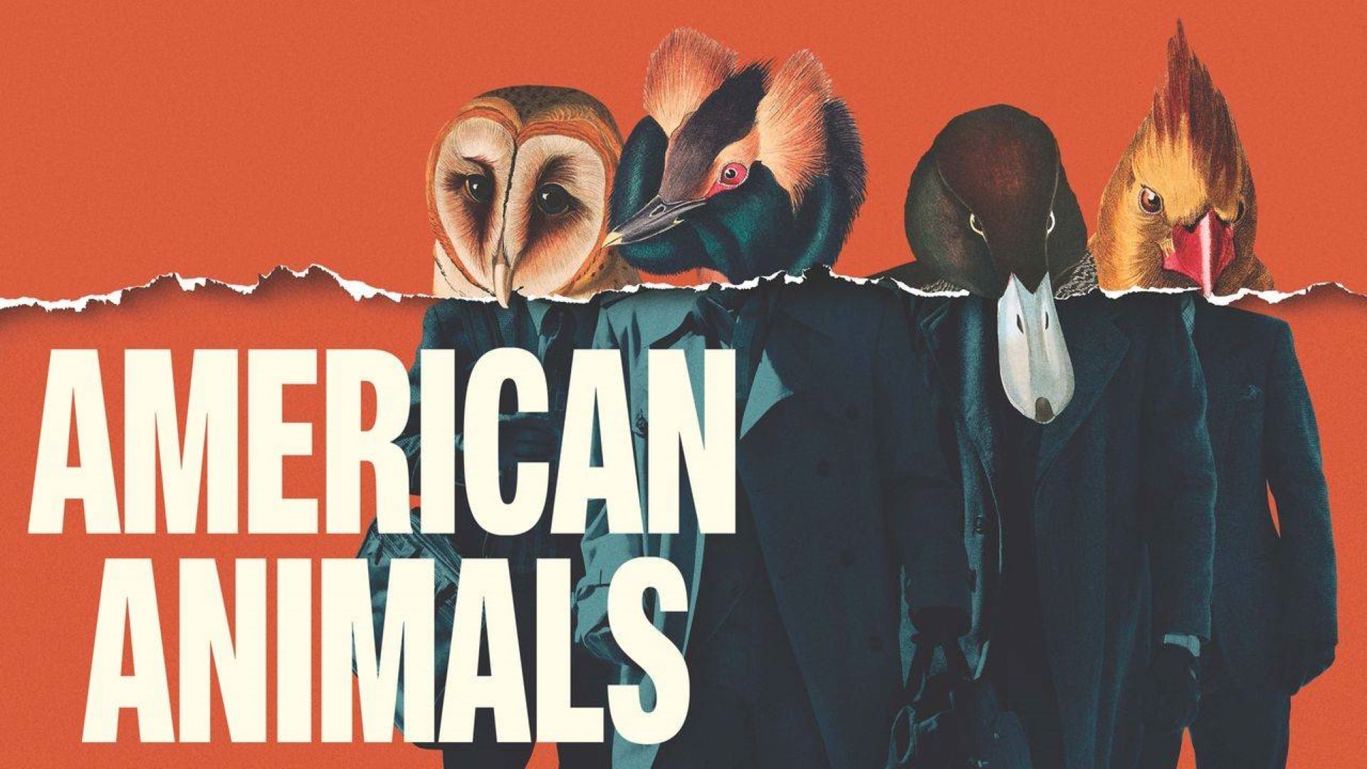 American Animals