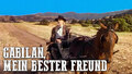 Gabilan, mein bester Freund
