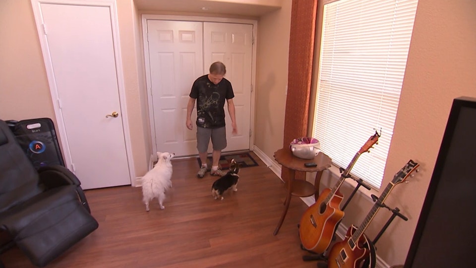 El encantador de perros