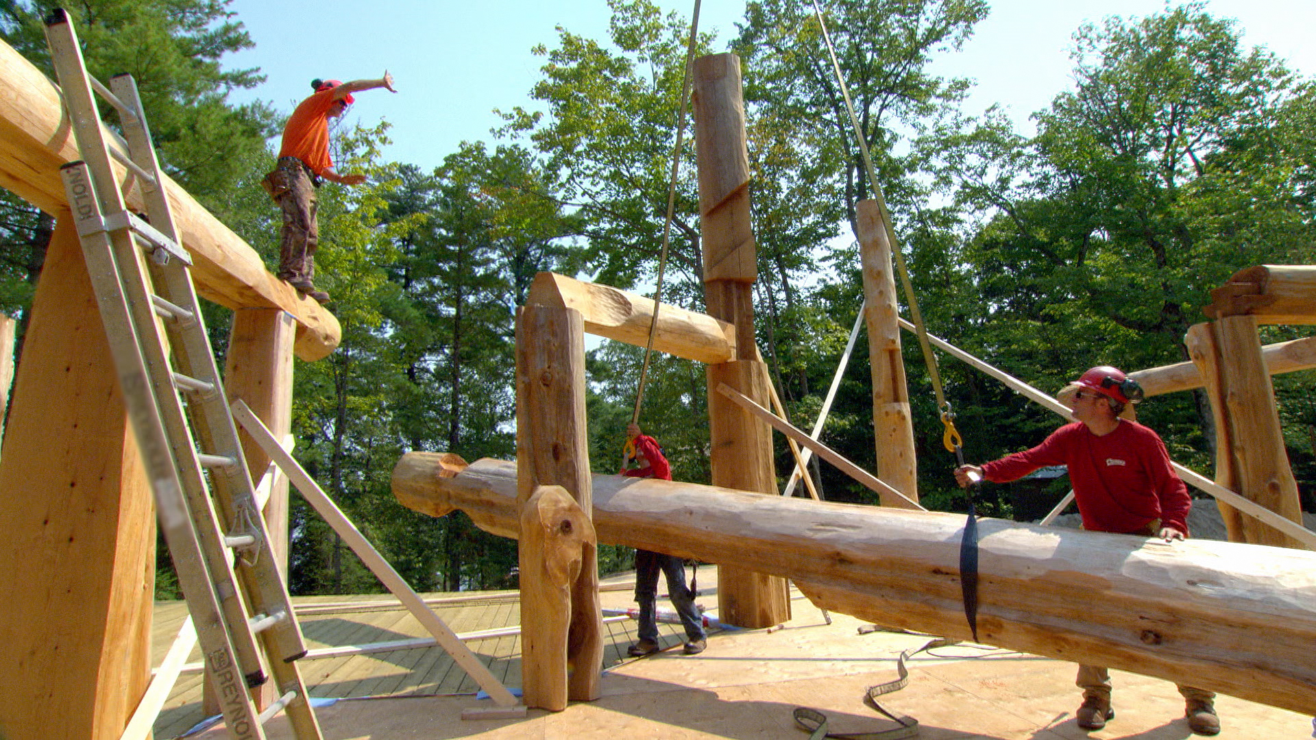 Timber Kings