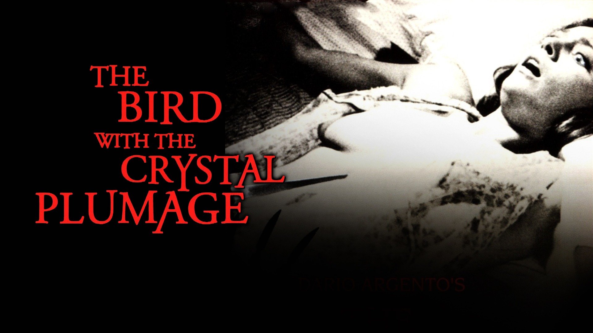The Bird With the Crystal Plumage