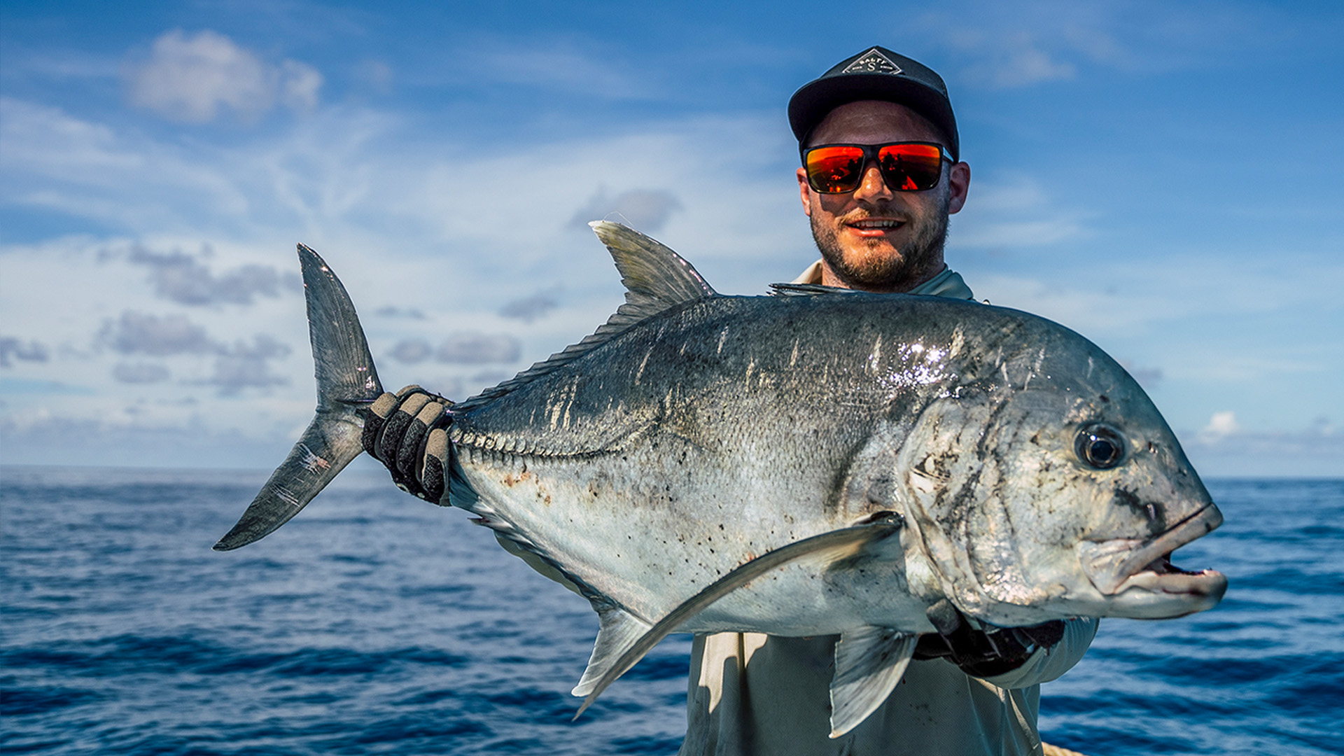 Welcome to Doggy Island 4.0