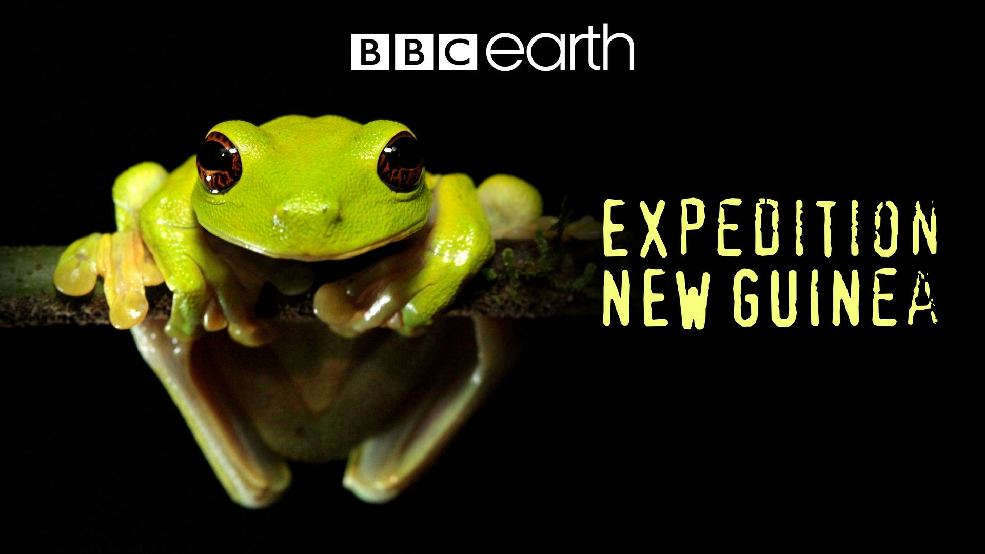 Expedition Nouvelle-Guinee Un équilibre fragile