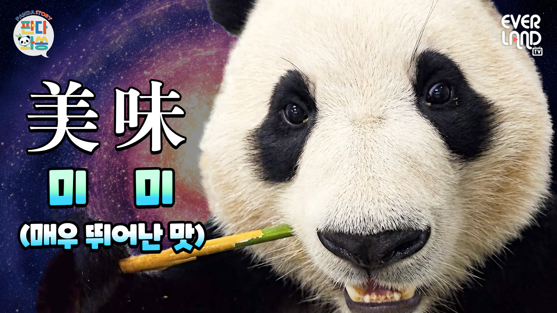 저 많이 안먹어요..하루에 15kg정도? 93회