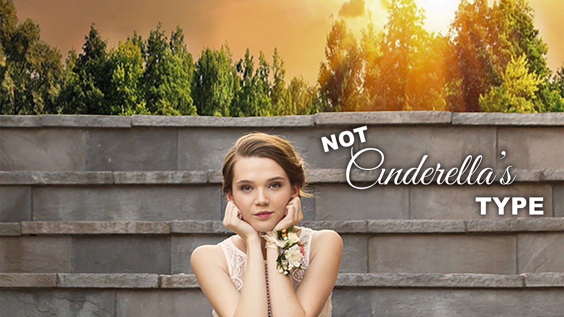 Not Cinderella's Type