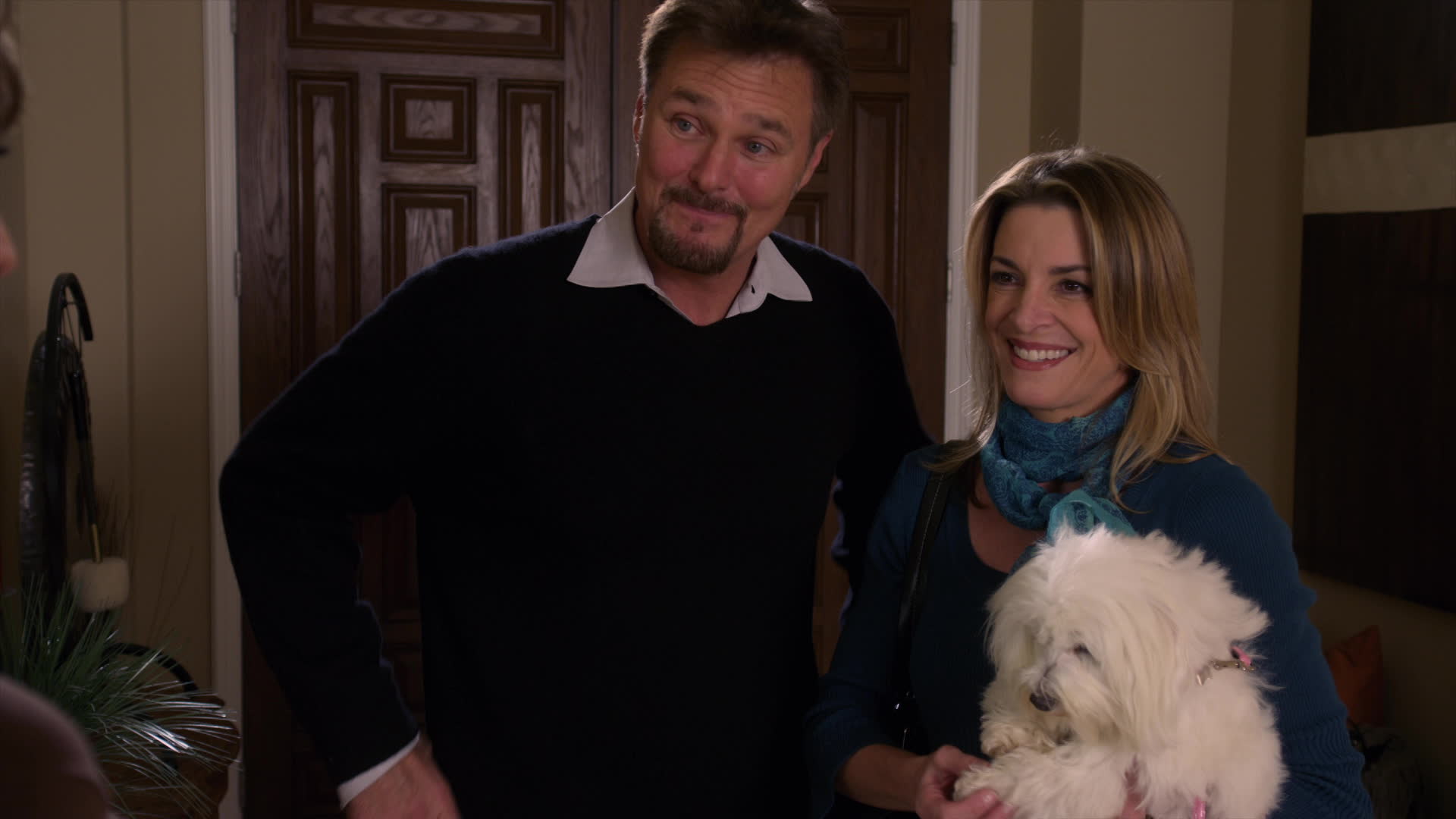 My Dog's Christmas Miracle