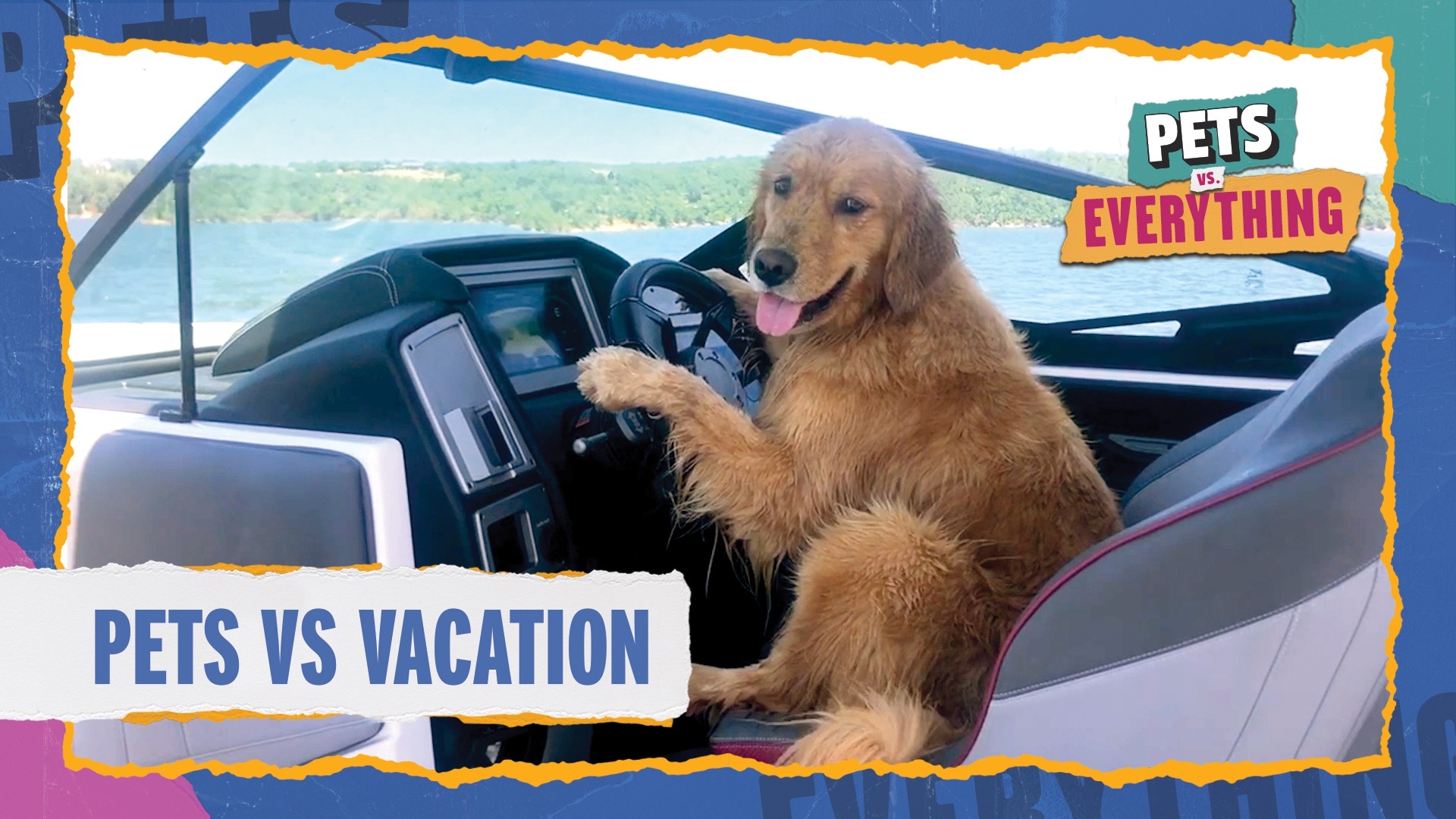 Pets VS. Everything | Pets VS. Vacations