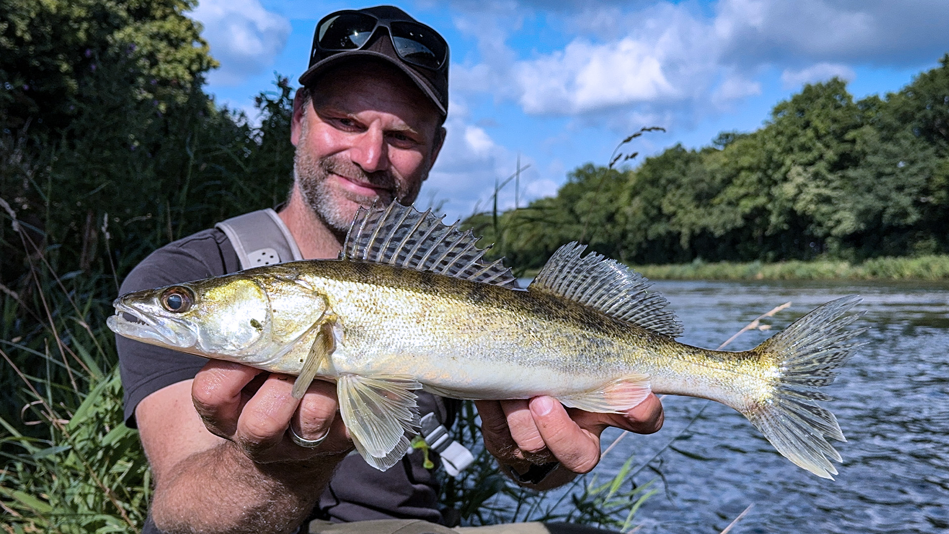 Zanderangeln am Mittellandkanal
