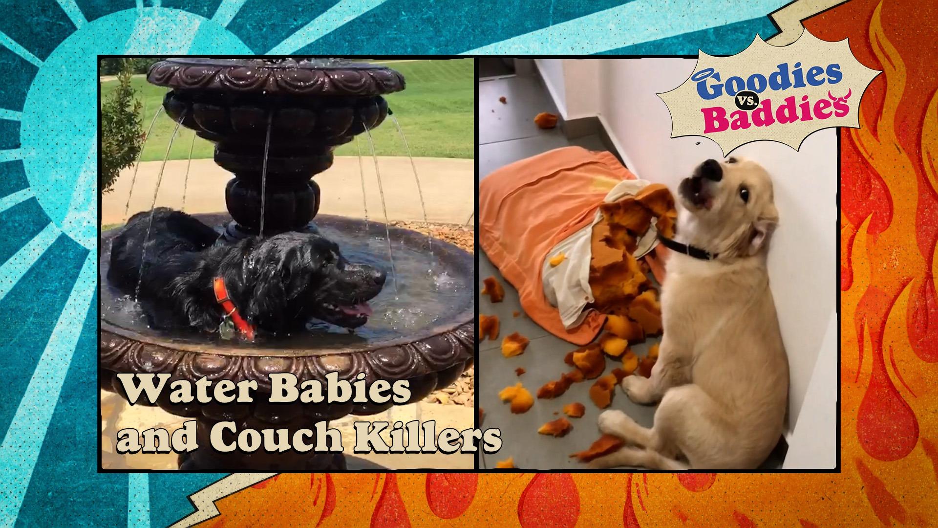 Goodies VS. Baddies | Water Babies & Couch Killers