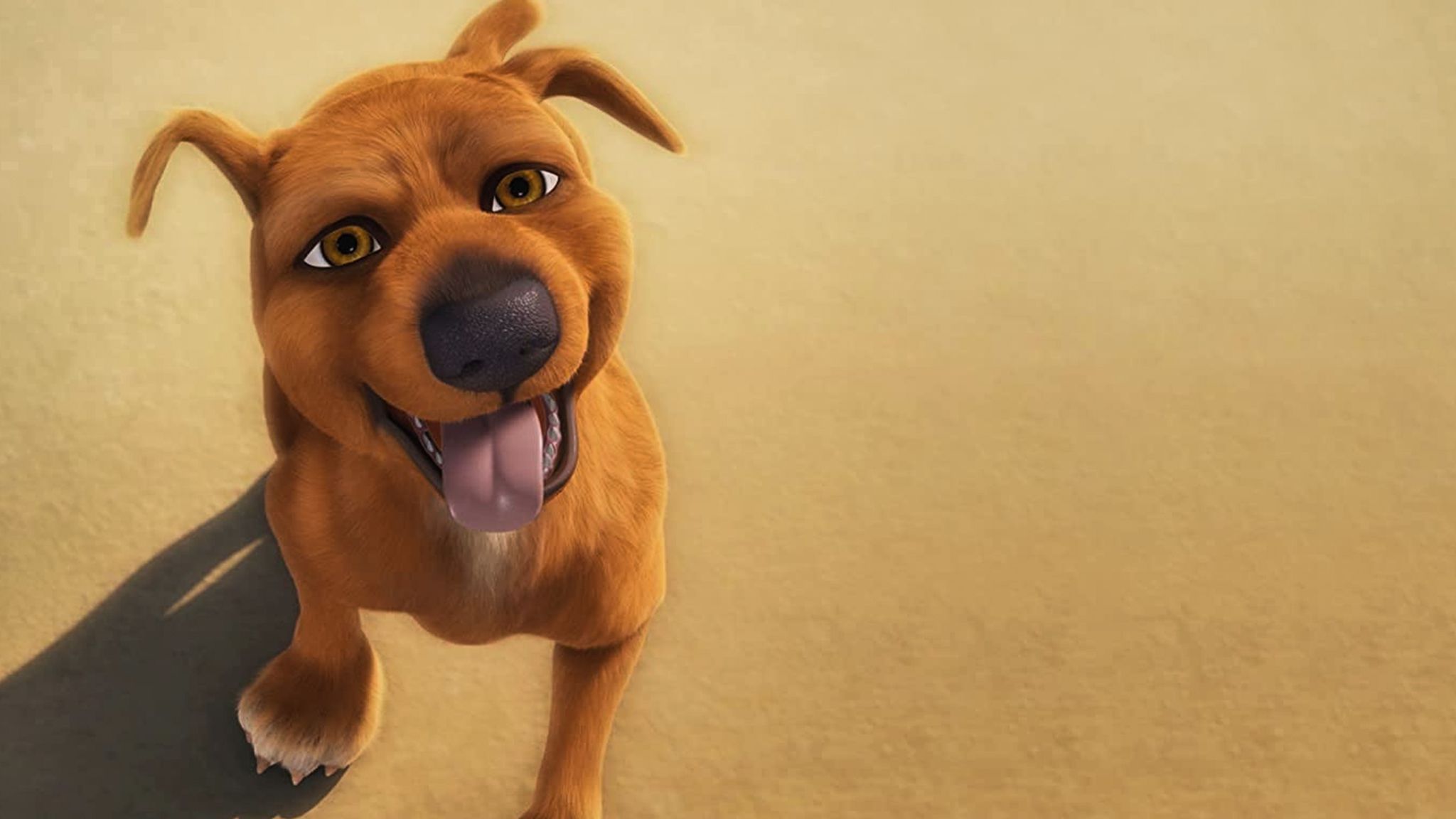 Jock: Ein Held auf 4 Pfoten