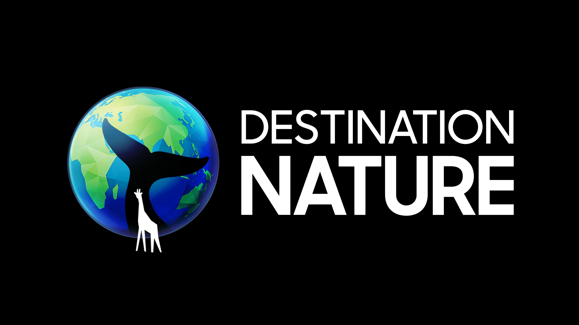 Rencontres avec des guerriers du monde sauvage