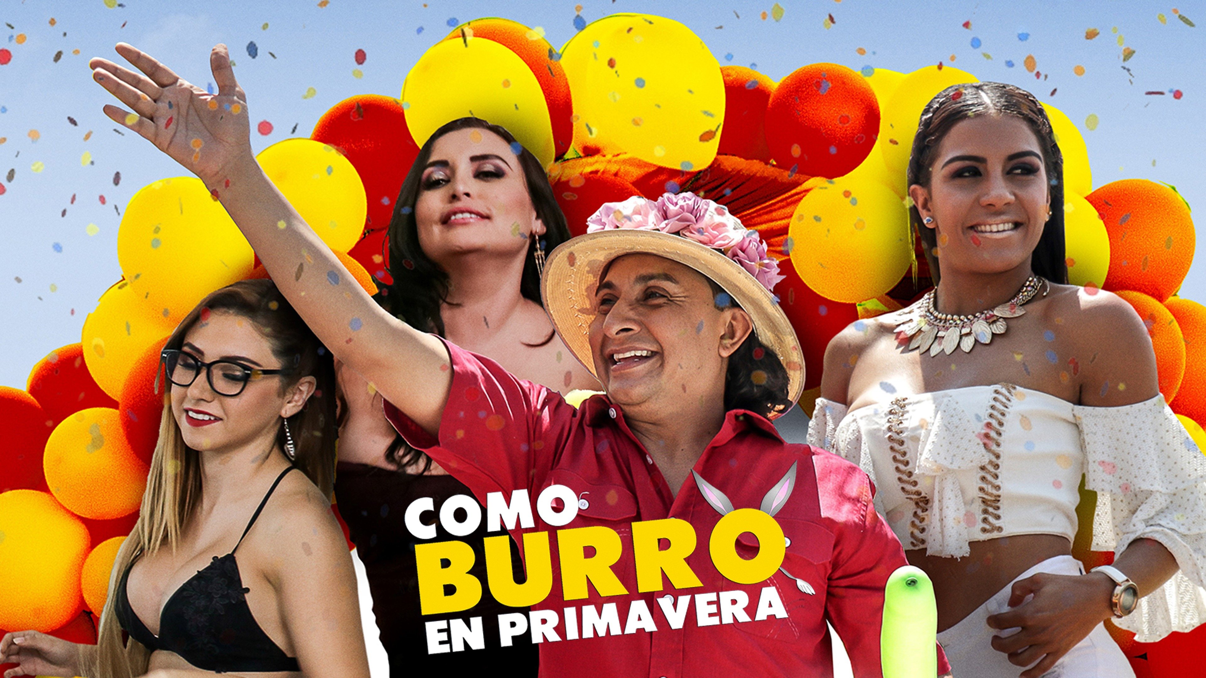 Como burro en primavera