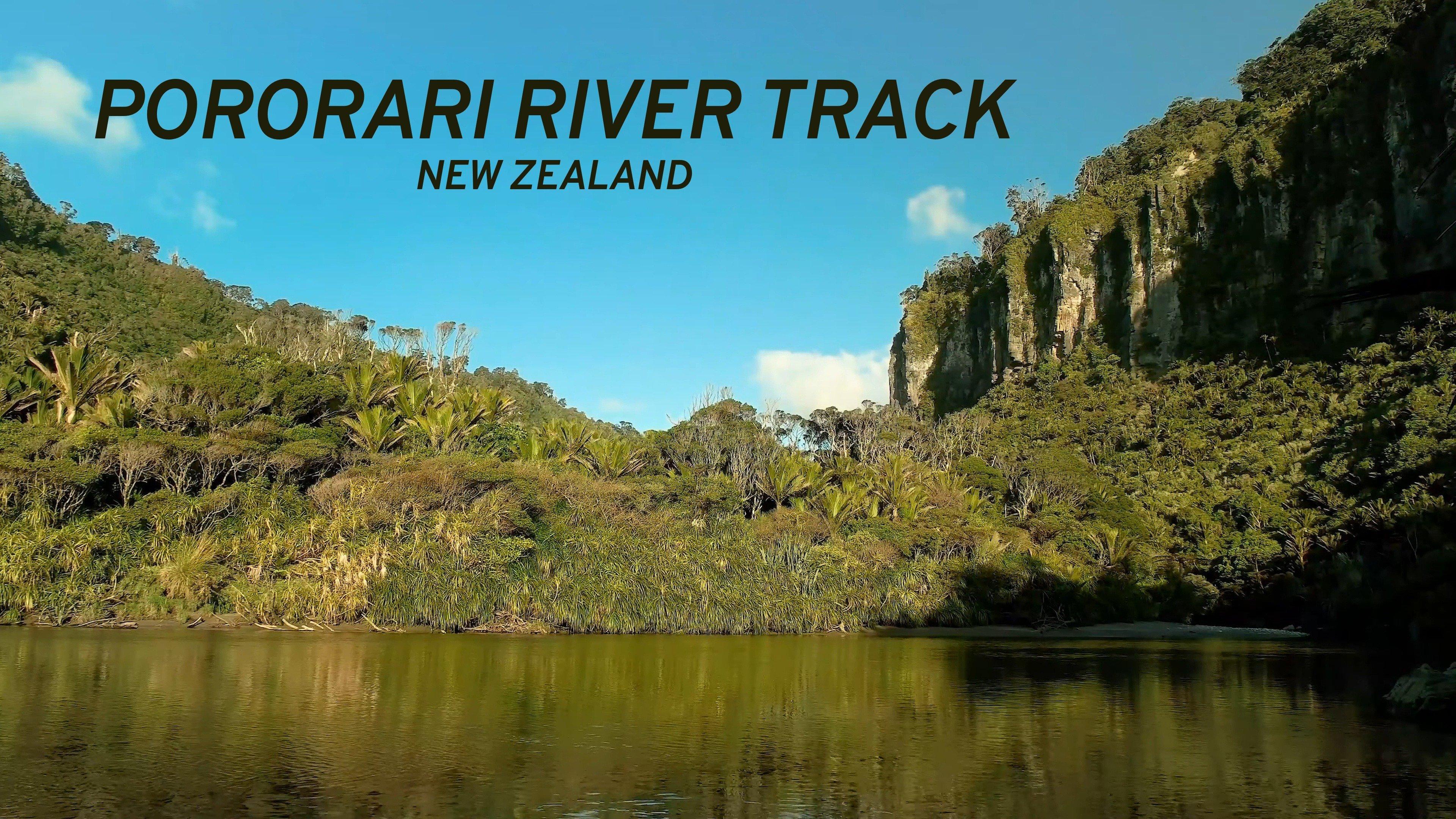 Pororari River Track: New Zealand