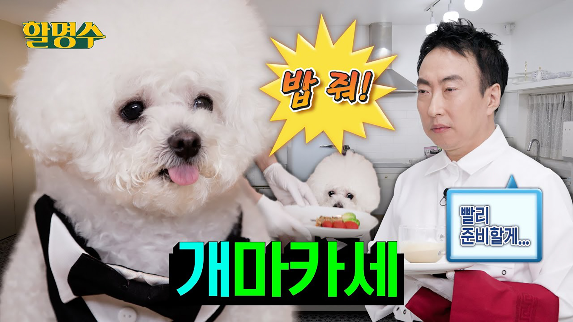 안녕하새오 카라애오 이번에는 아빠가 해 주는 개마카세 먹으러 왔어오ㅣep.127