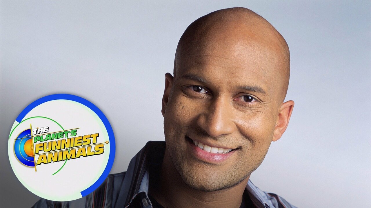 The Planet's Funniest Animals