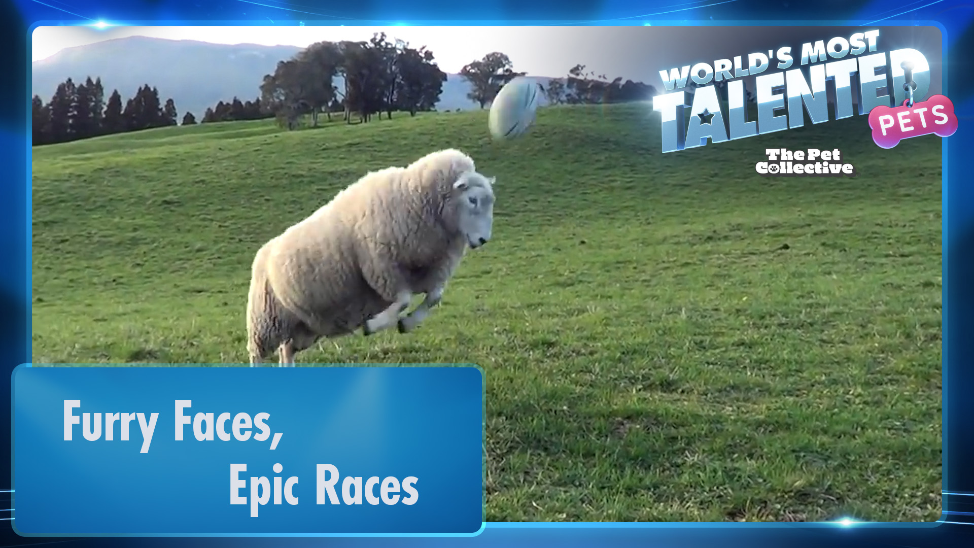 World's Most Talented Pets