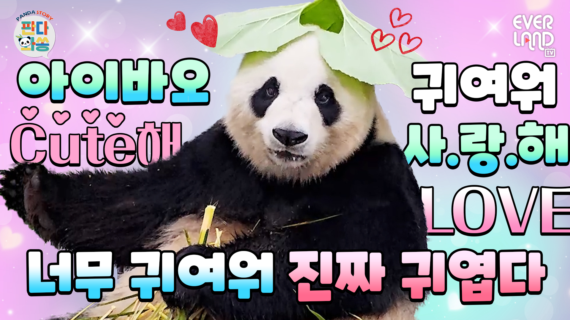 세상에서 제일 치명적인 브이로그 (Feat. 아이바오) 103회