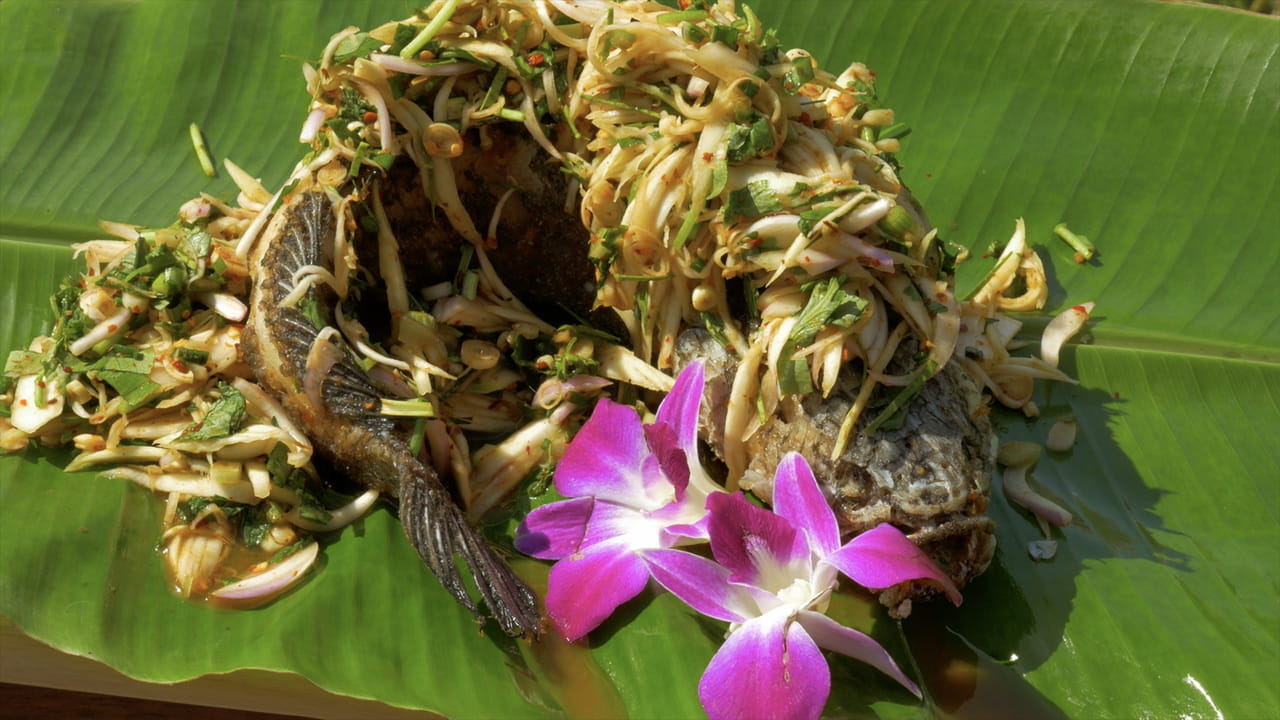 Duncan's Thai Kitchen