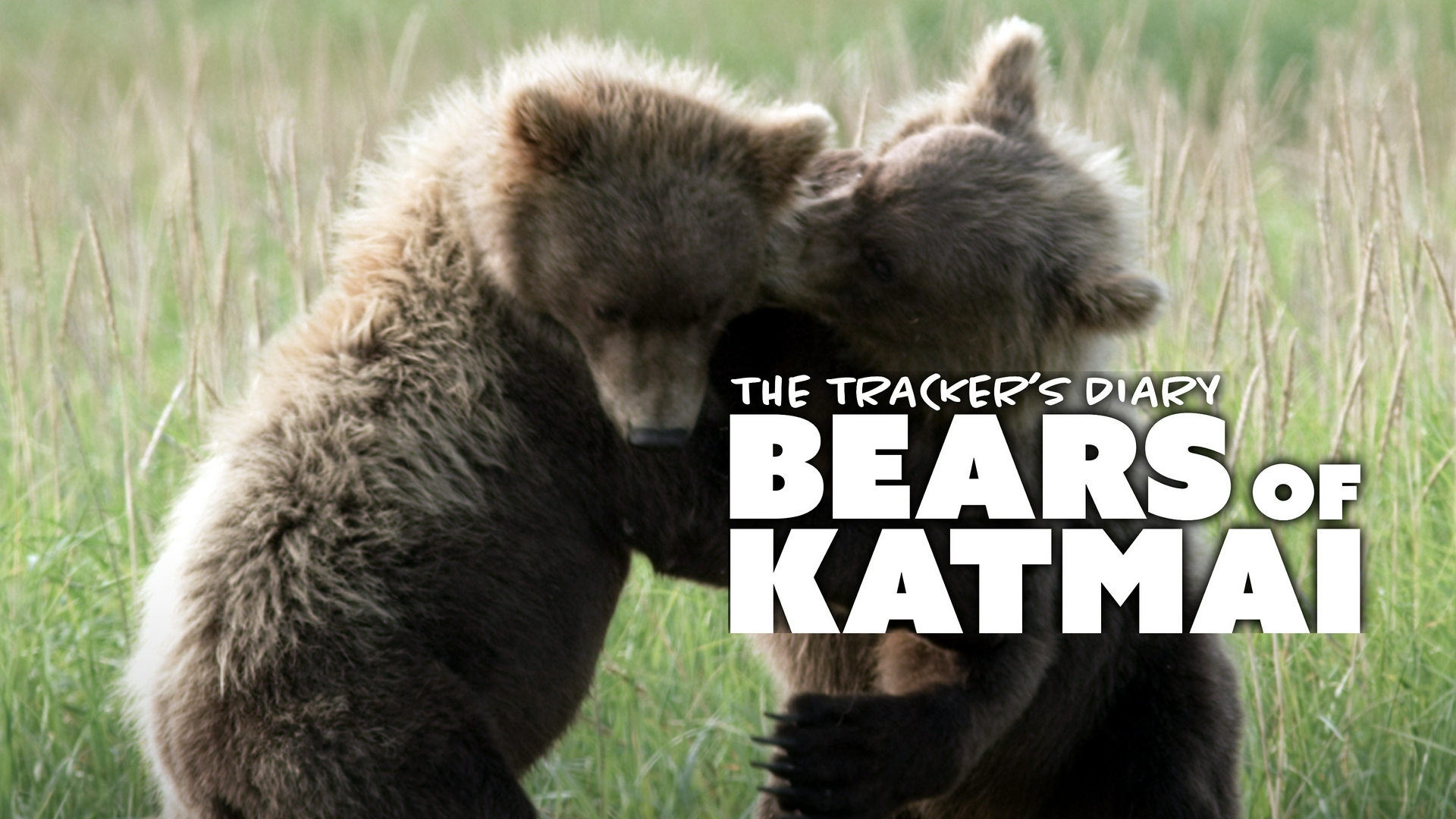 Vecinos nuevos y viejos