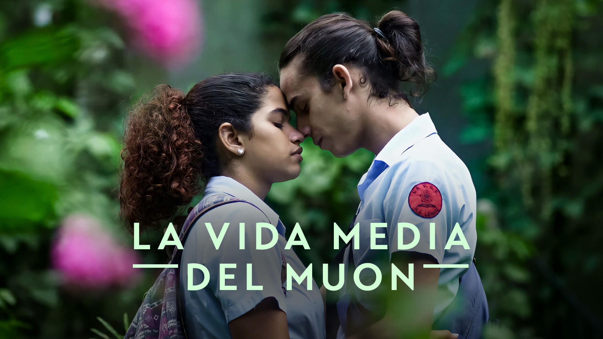 La vida media del muon
