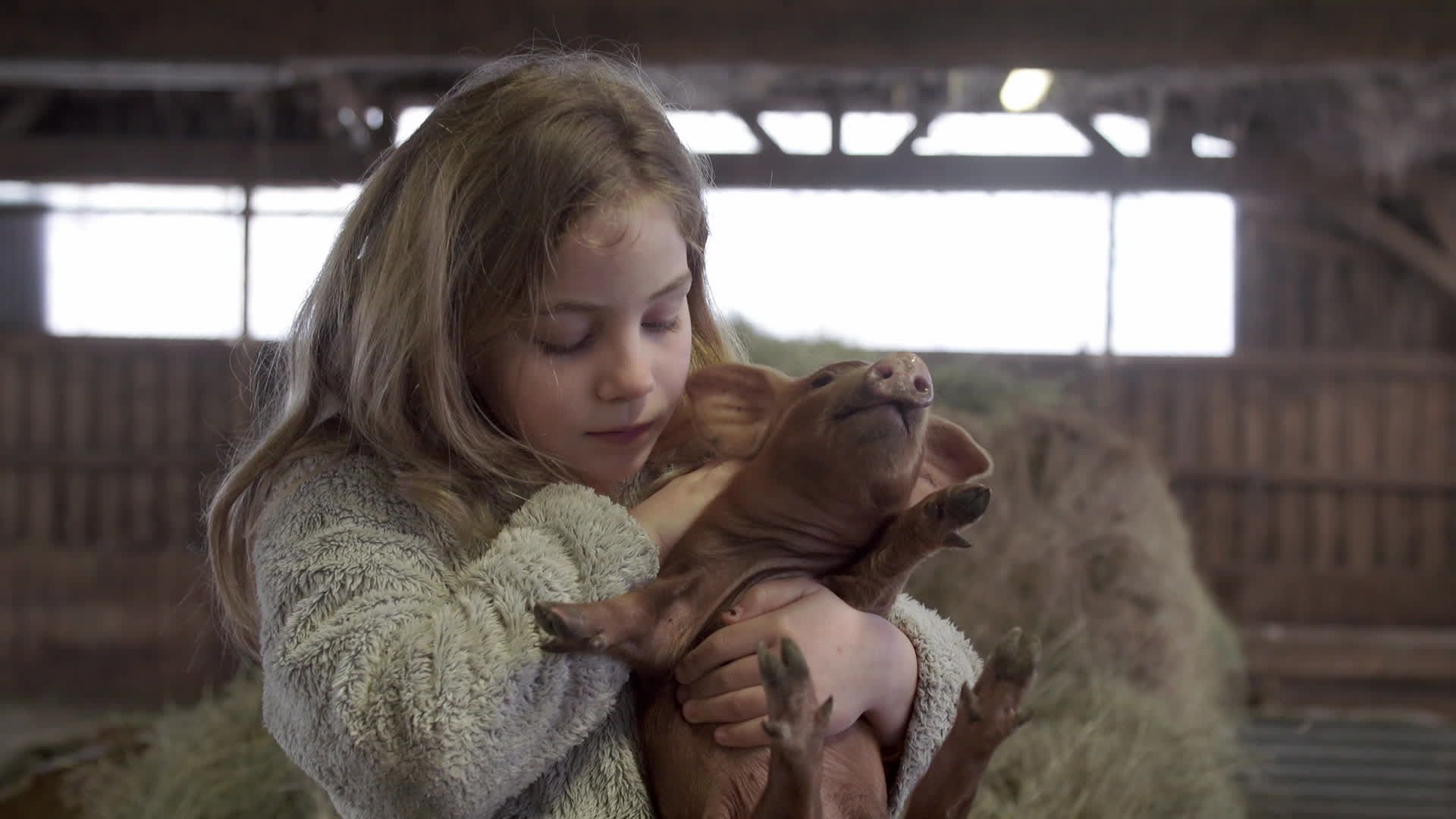 Itinéraires Paysans