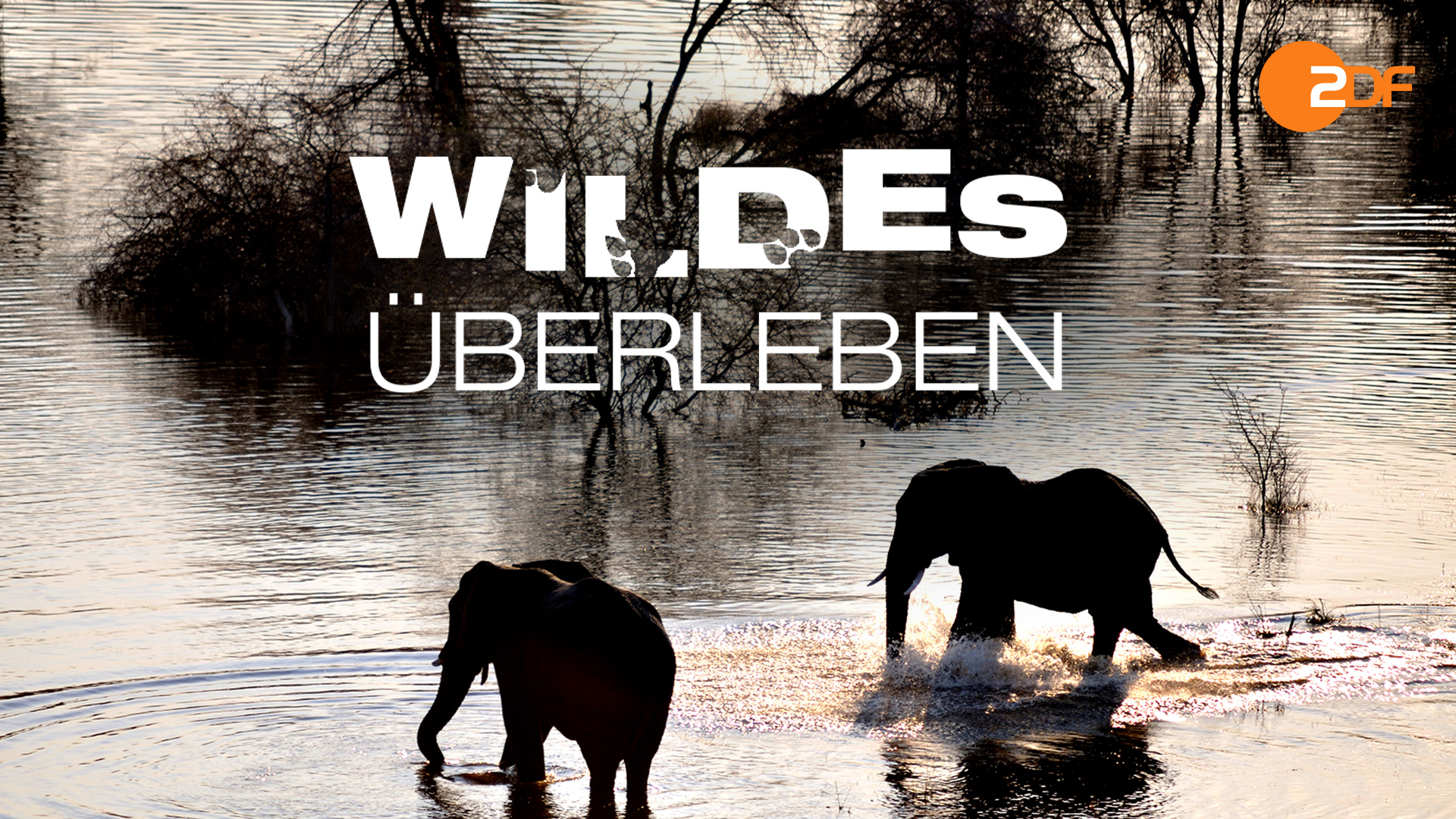 Wildes Überleben