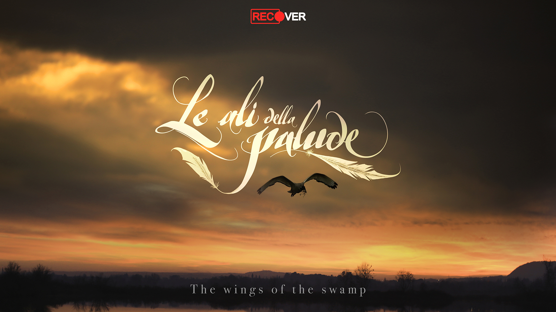 Le Ali Della Palude