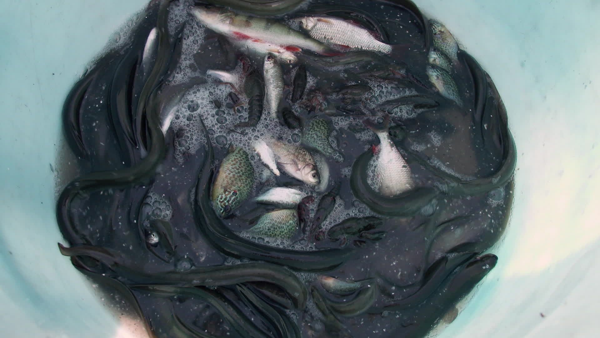 Itinéraires Paysans