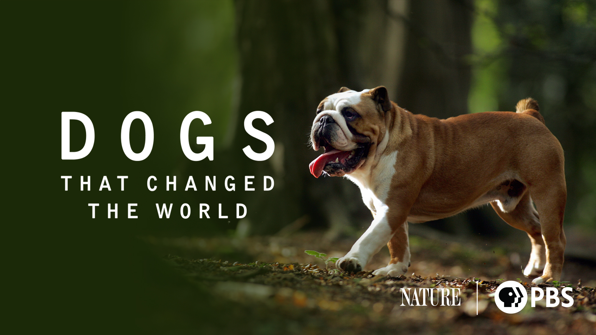 Dogs that Changed the World