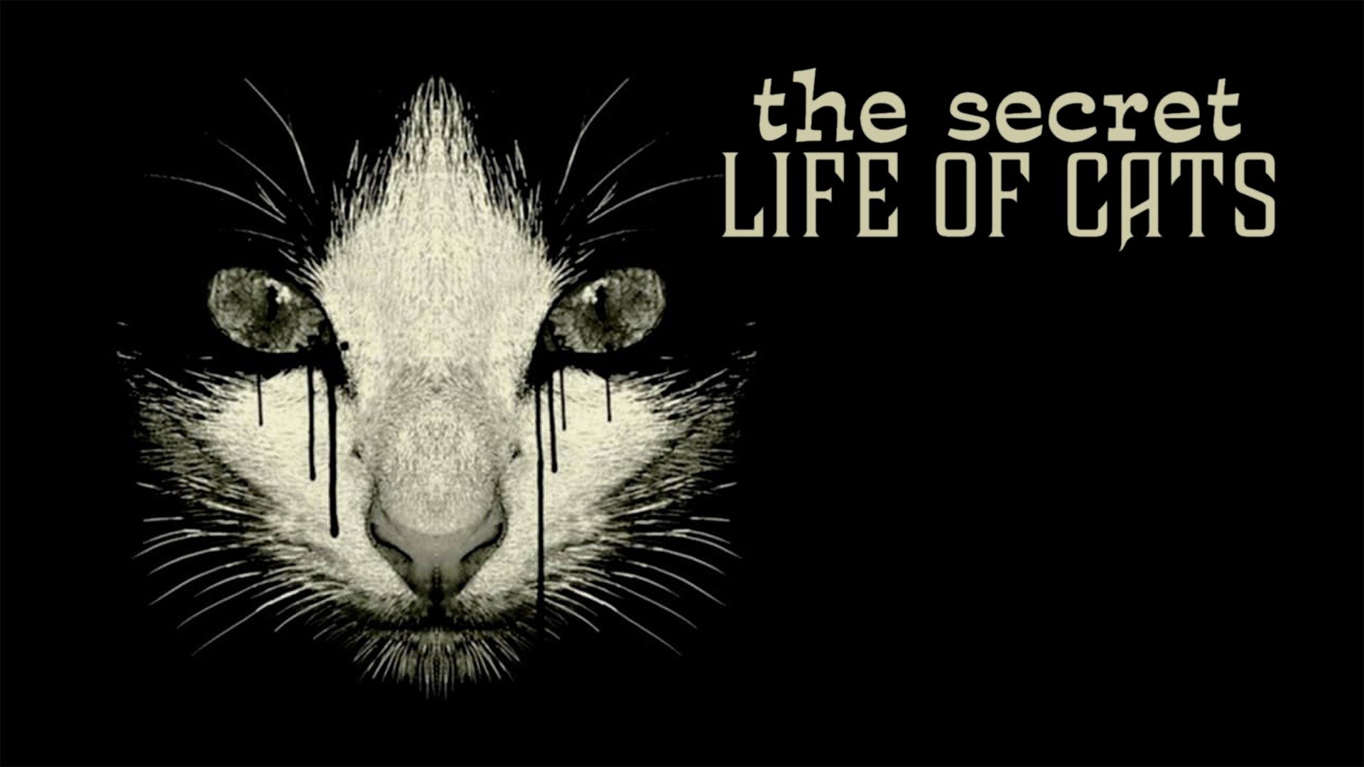 The Secret Life of Cats