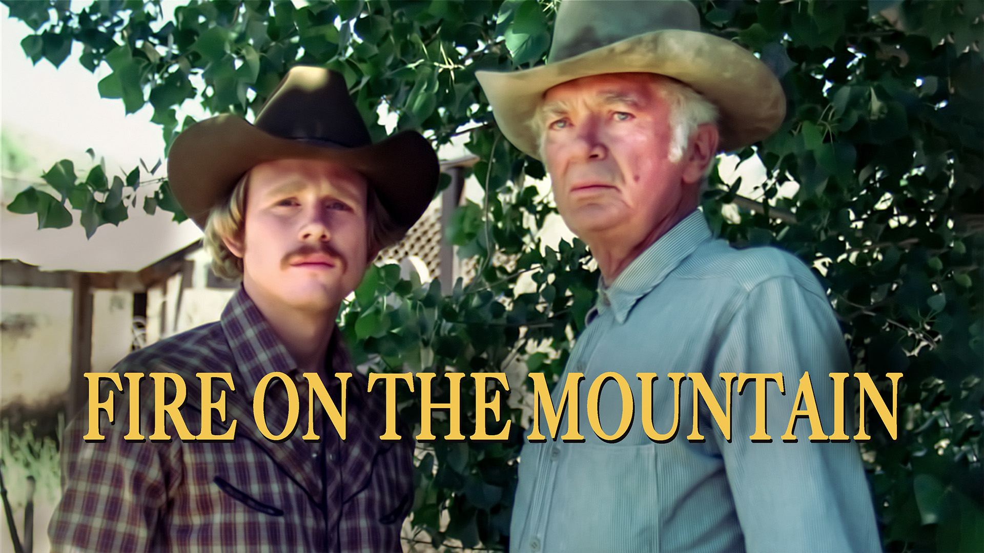 Fire On The Mountain