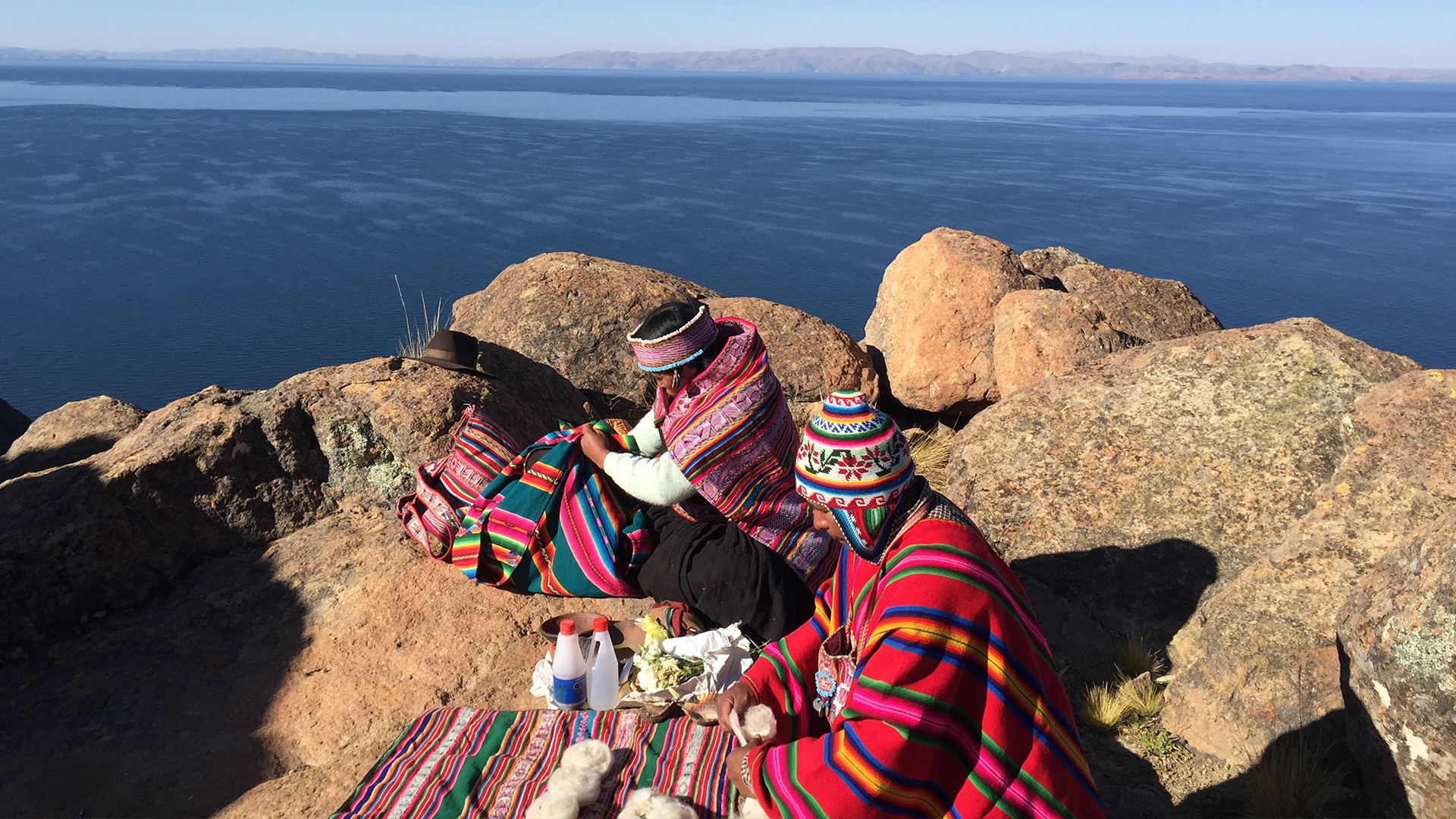 The Secret world of Herbs