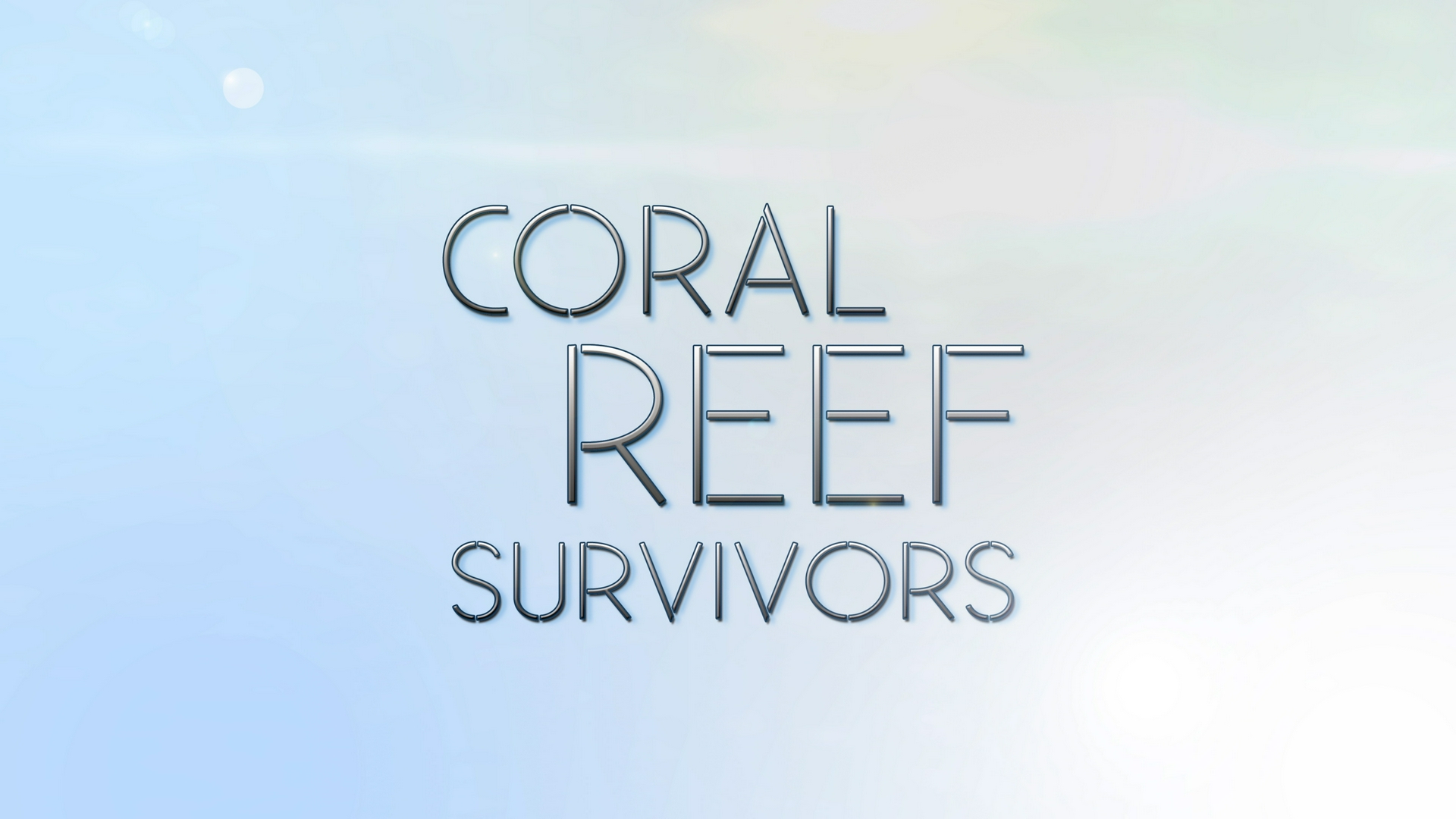 Coral Reef Survivors