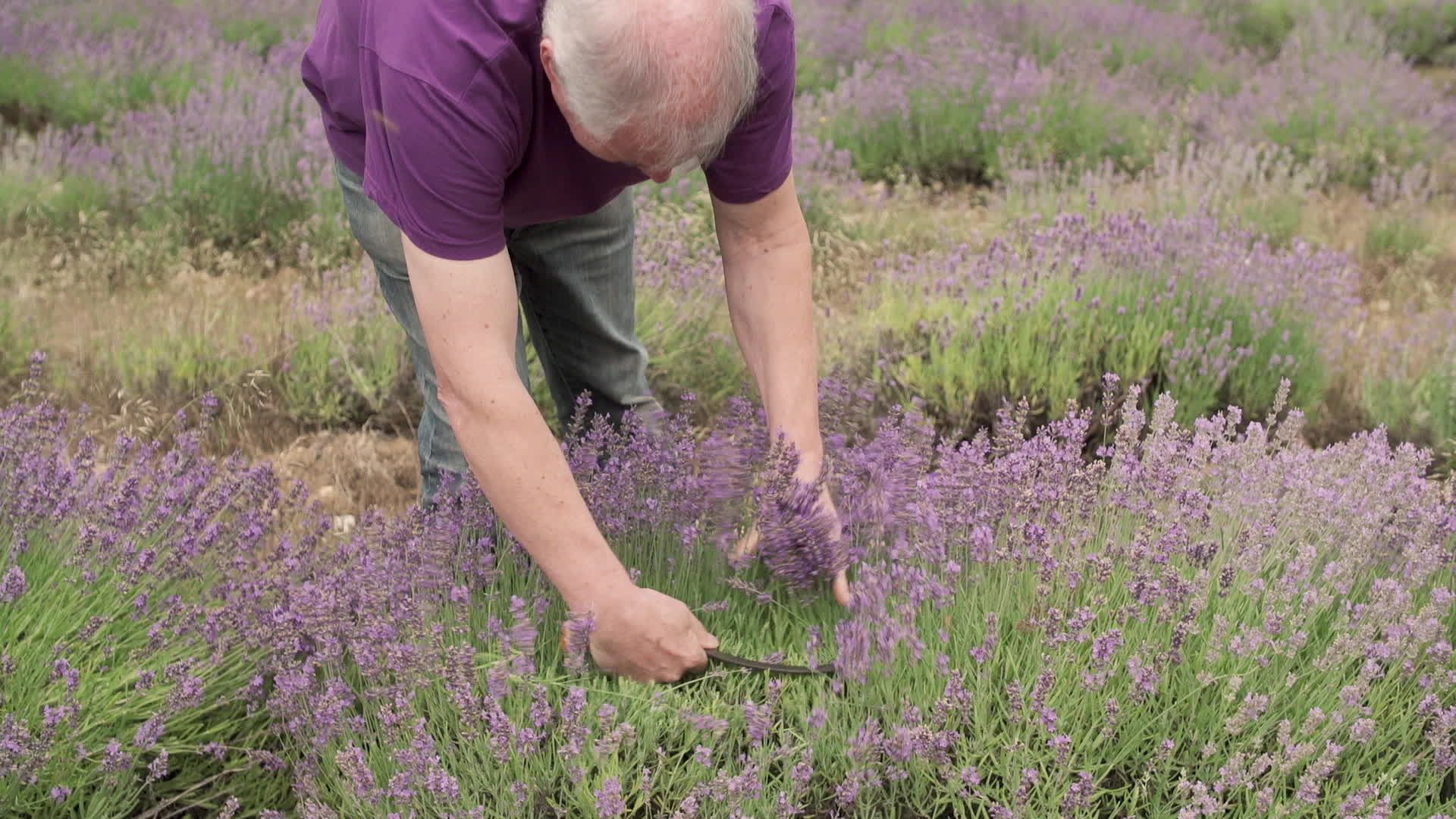 Itinéraires Paysans