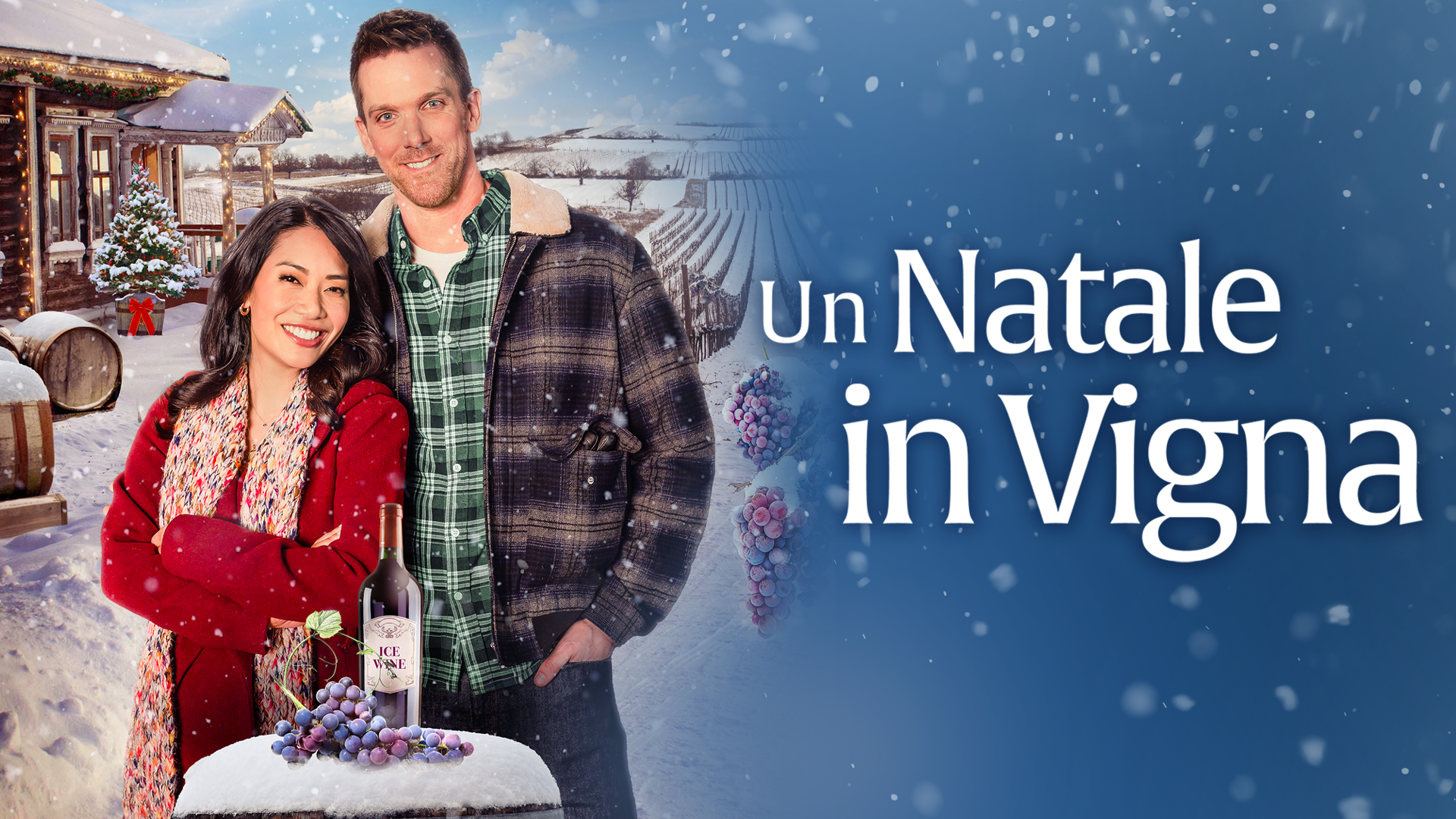 UN NATALE IN VIGNA