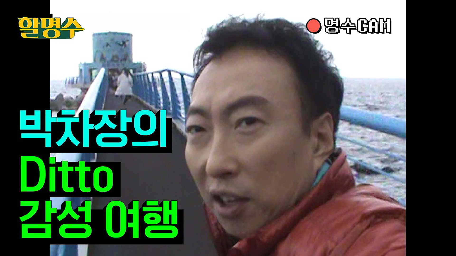 [울릉도 표류기 1탄] 박차장의 Ditto 갬성 가득한 울릉도 패키지 여행ㅣep.123