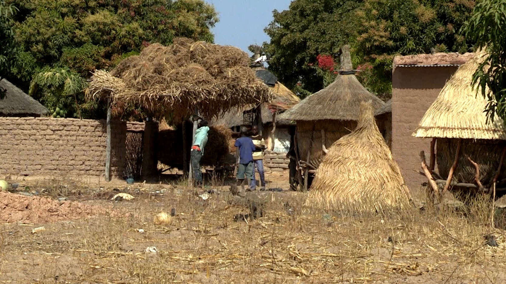 Un jour sur Terre épisode 17
