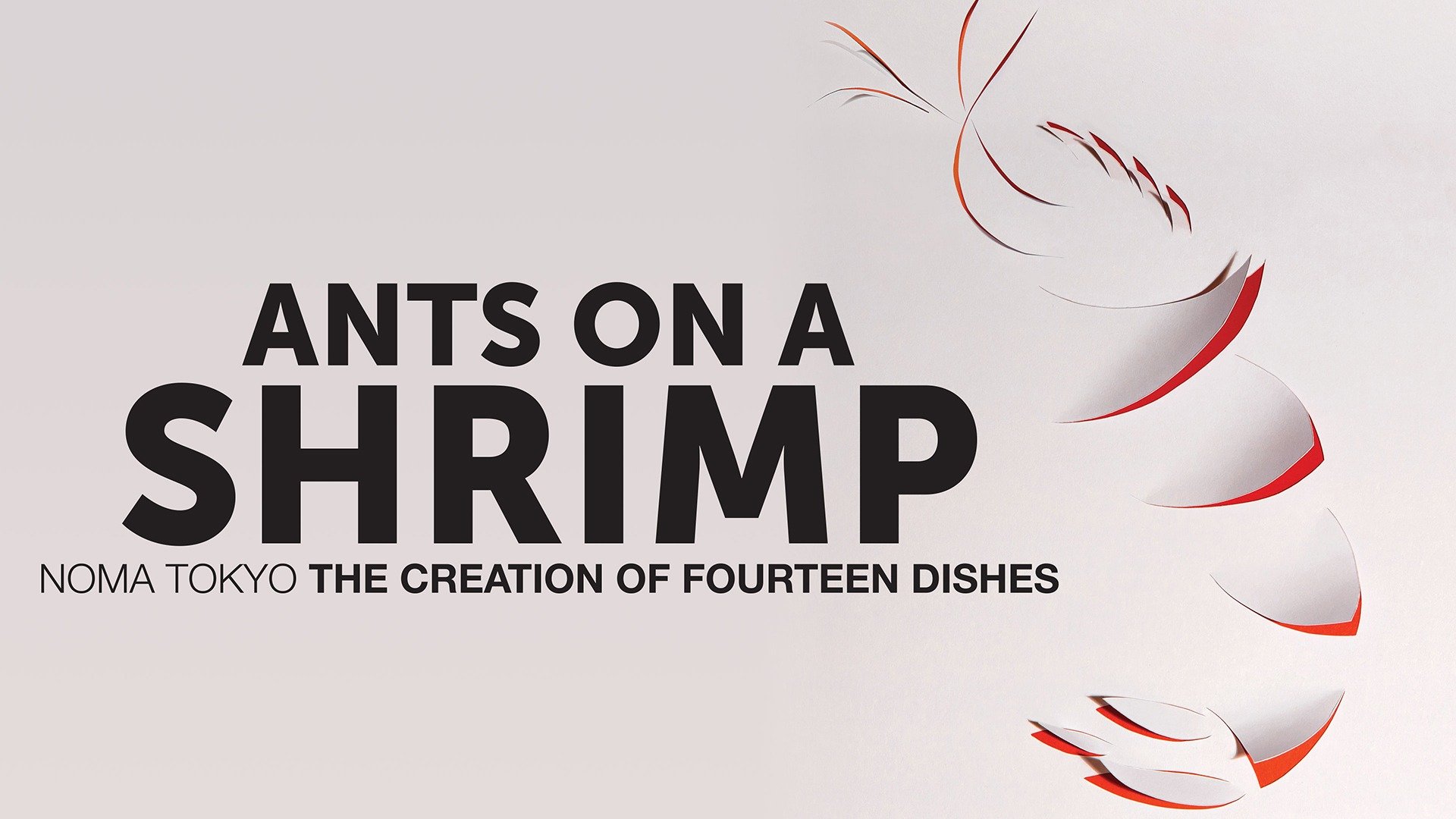 Ants on a Shrimp
