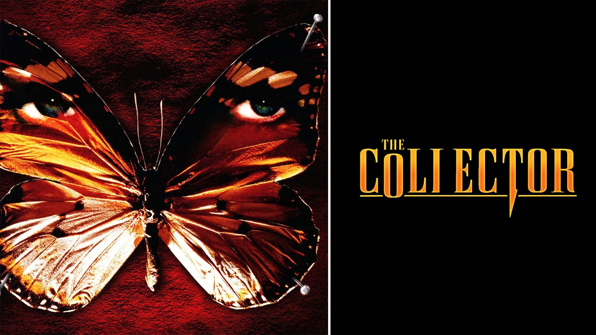 The Collector