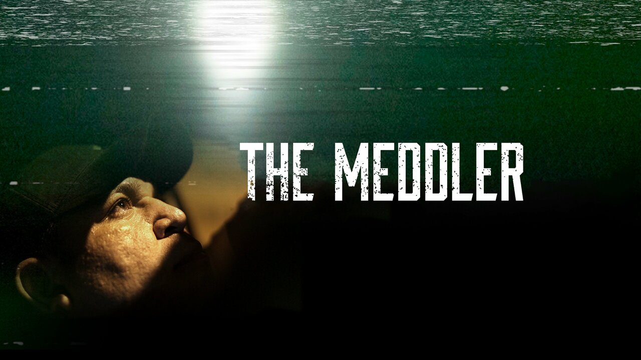 The Meddler