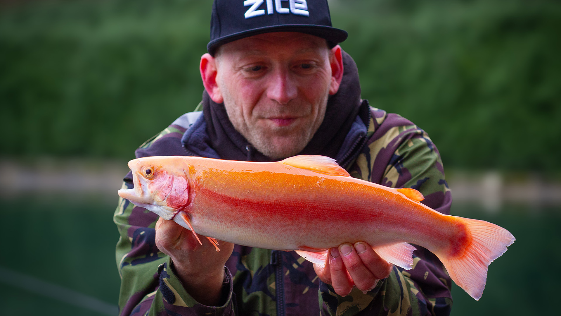 Angebissen von Null auf Fisch