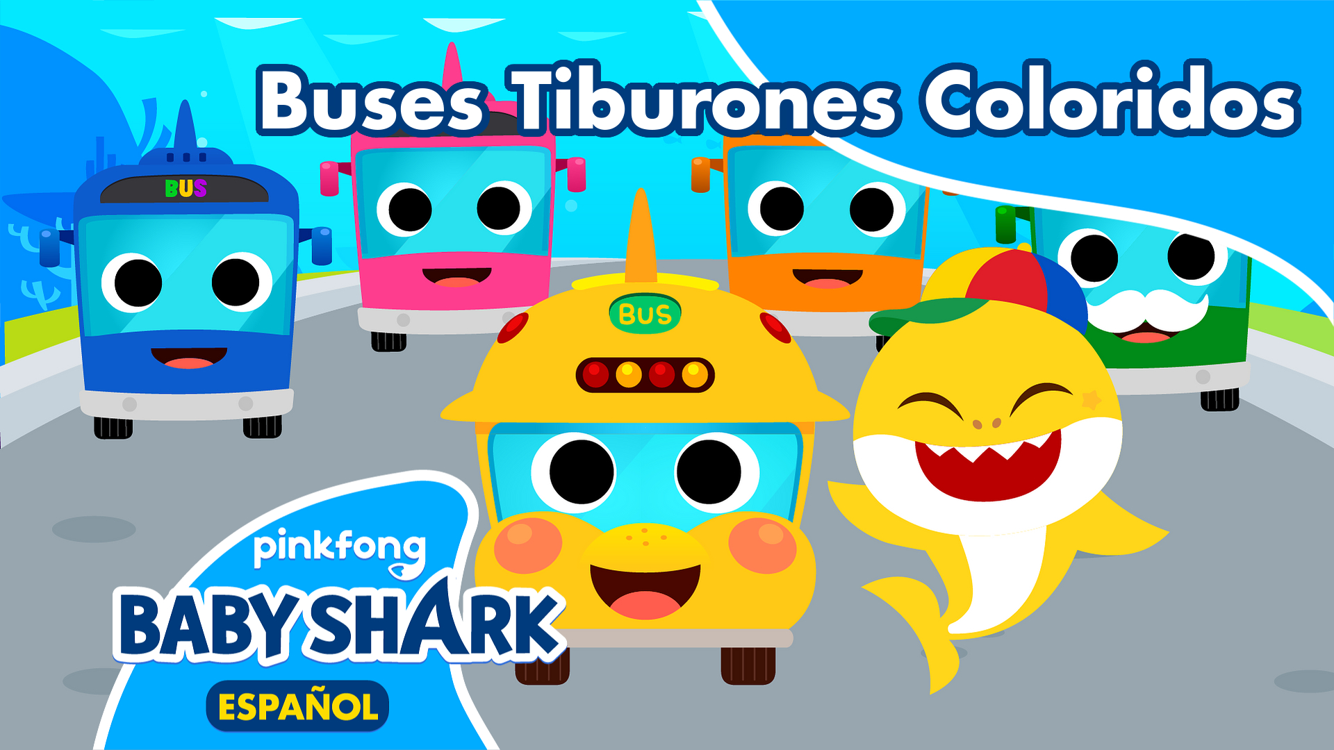 Buses Tiburones Coloridos