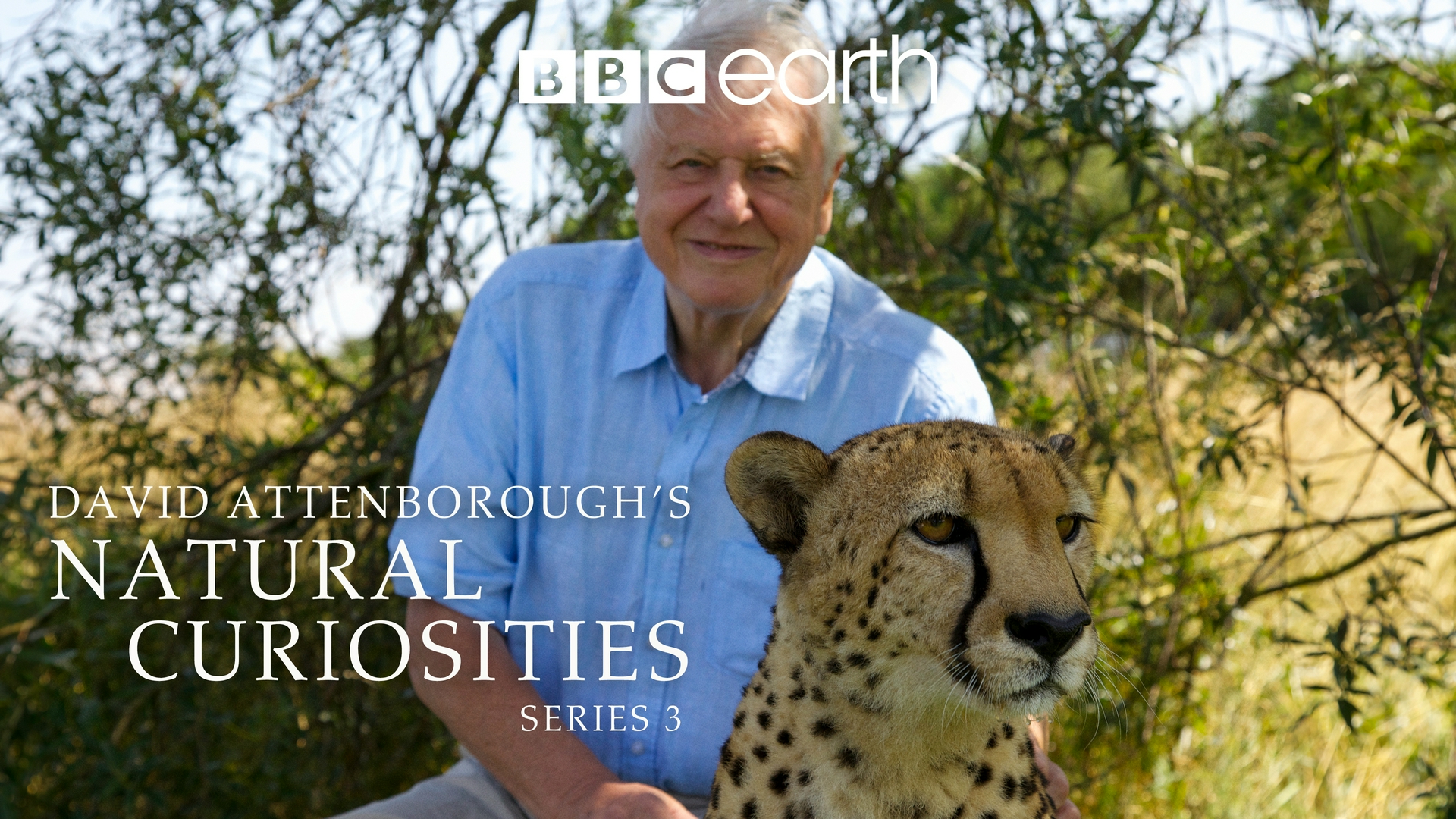 David Attenborough e le curiosità della natura I corpi estensibili