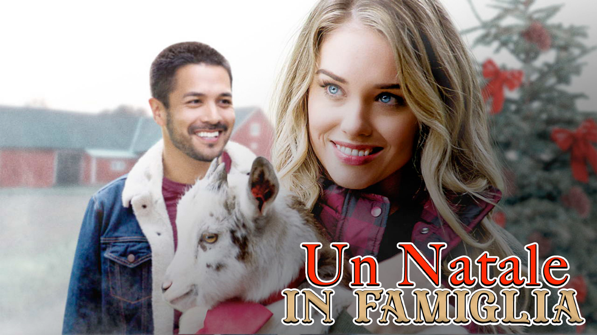 Un Natale in famiglia